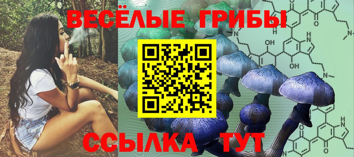 Галлюциногенные грибы Psilocybine cubensis Улан-Удэ