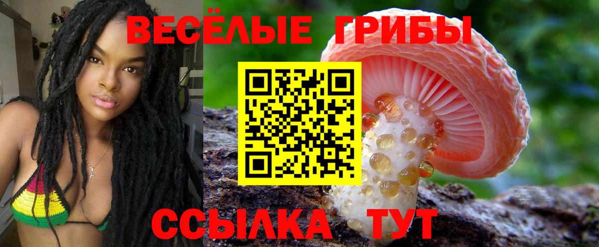 Псилоцибиновые грибы Psilocybine cubensis  Вход с VPN  Галлюциногенные грибы GOLDEN TEACHER  Улан-Удэ 
